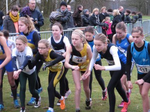 Fanatieke start