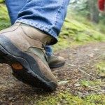 De-Norgers-gaan-onder-andere-wandelen